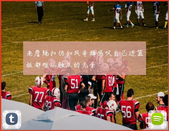老詹隔扣仍如风夸梅感叹自己连篮板都难以触及的无奈