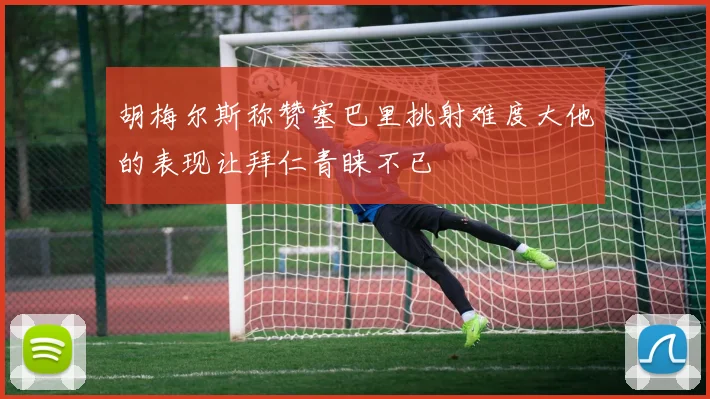 胡梅尔斯称赞塞巴里挑射难度大他的表现让拜仁青睐不已