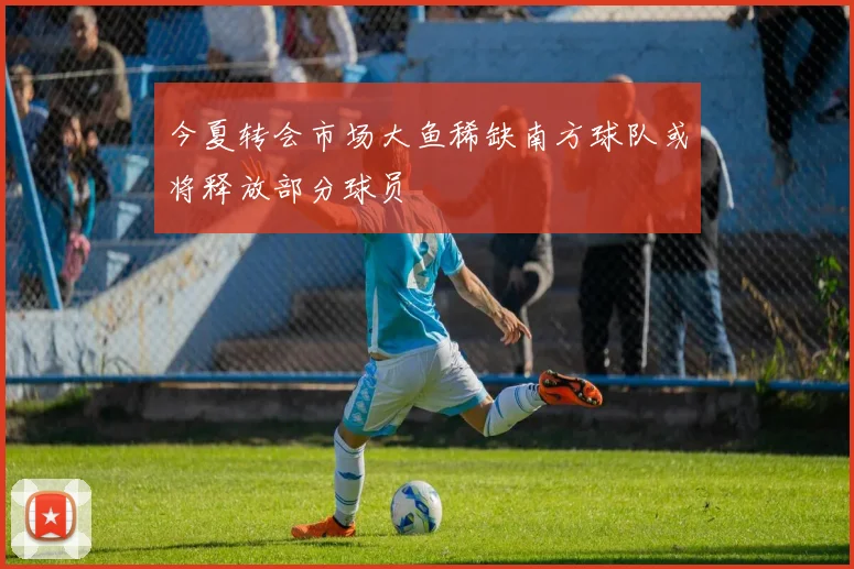 今夏转会市场大鱼稀缺南方球队或将释放部分球员